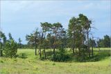 Image of landscape