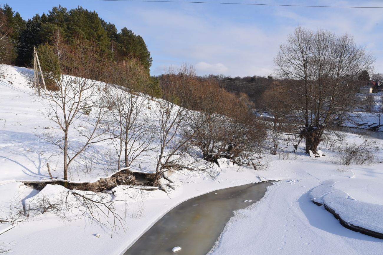 Окрестности деревни Дедюевка, image of landscape/habitat.