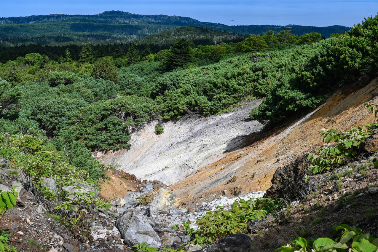 Вулкан Менделеева, image of landscape/habitat.