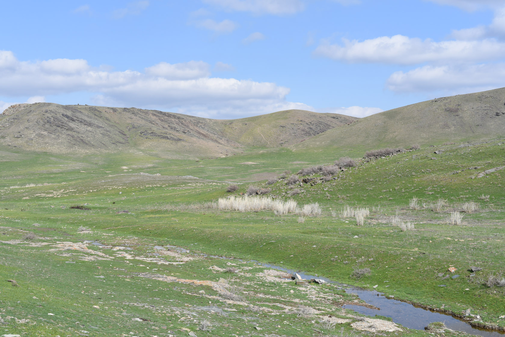Тамгалы (Танбалы), image of landscape/habitat.