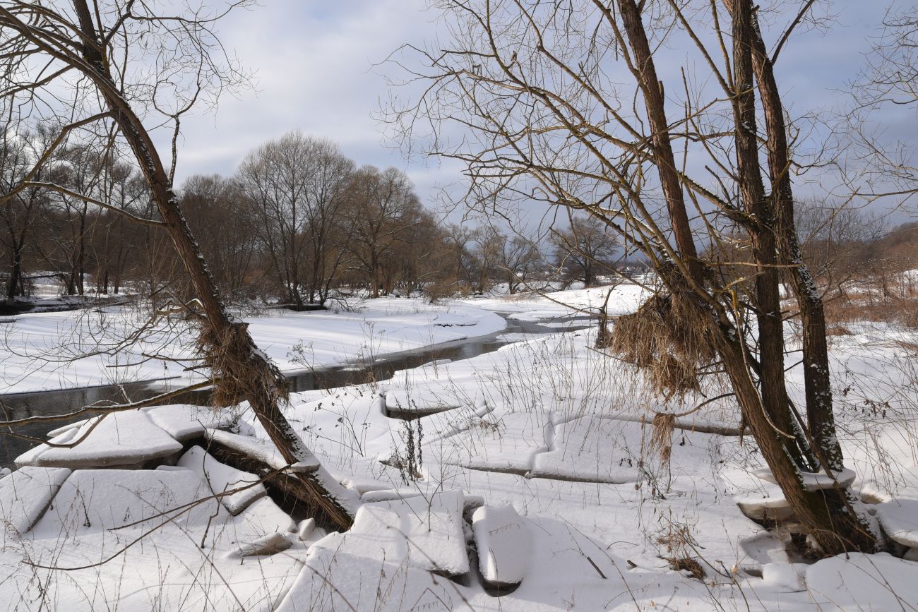 Окрестности деревни Дедюевка, image of landscape/habitat.