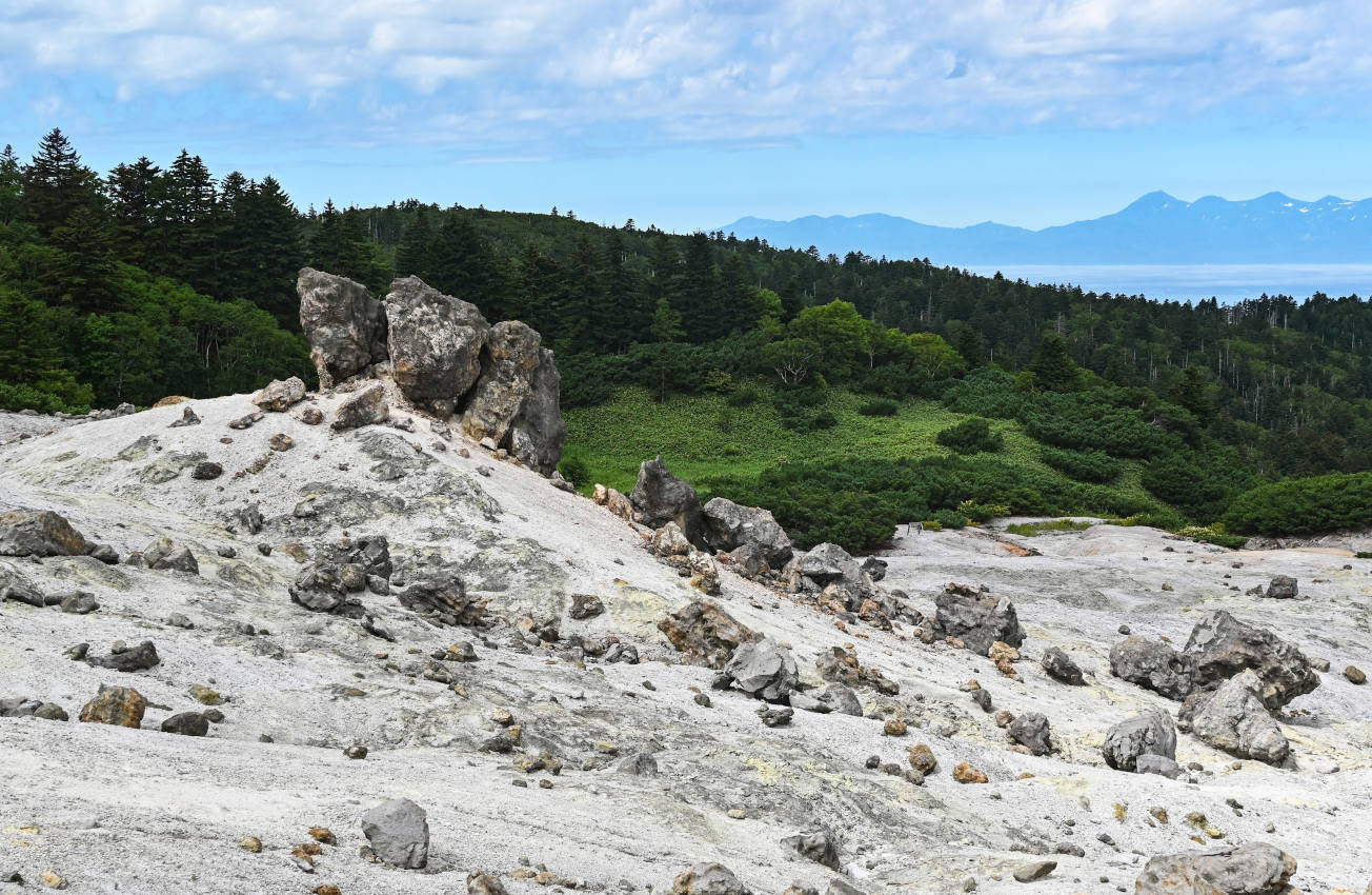 Вулкан Менделеева, image of landscape/habitat.