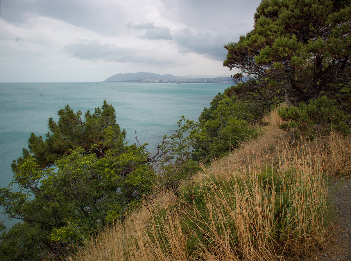 Берег моря у мыса Пенай, image of landscape/habitat.