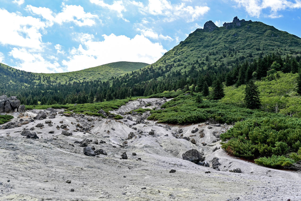 Вулкан Менделеева, image of landscape/habitat.