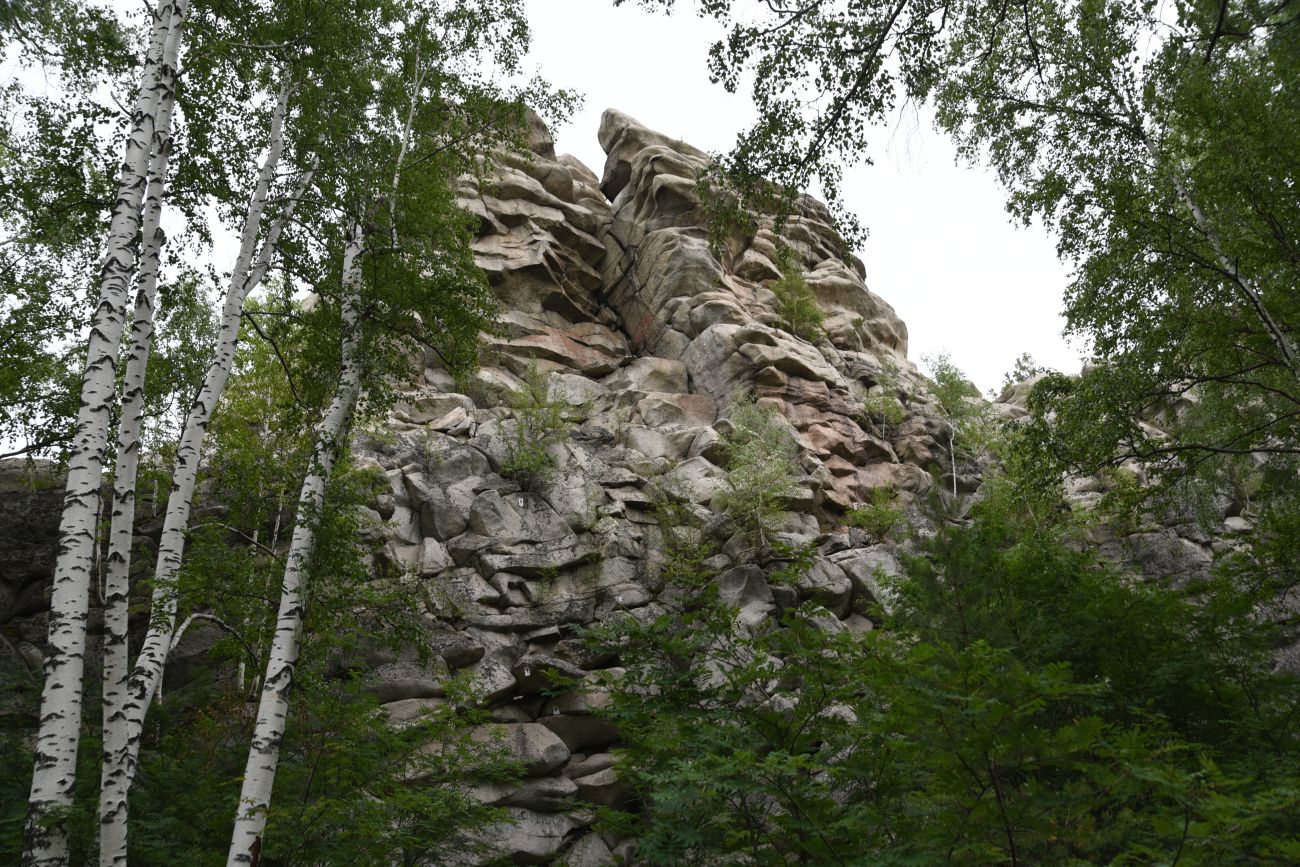 Гора Аракуль, image of landscape/habitat.