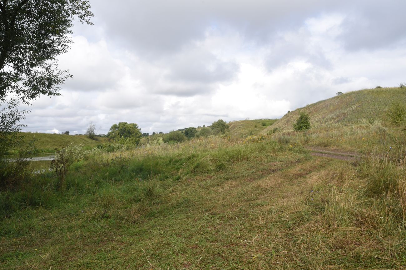 Степное урочище Горки, image of landscape/habitat.