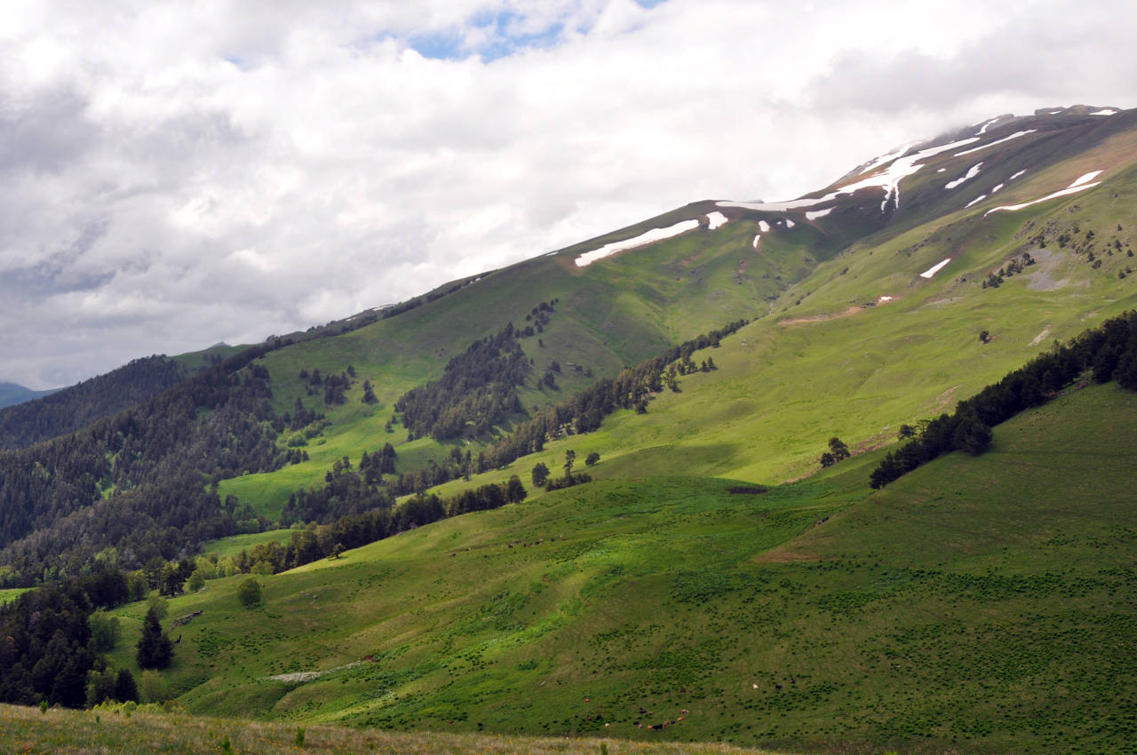 Хребет Абишира-Ахуба, image of landscape/habitat.