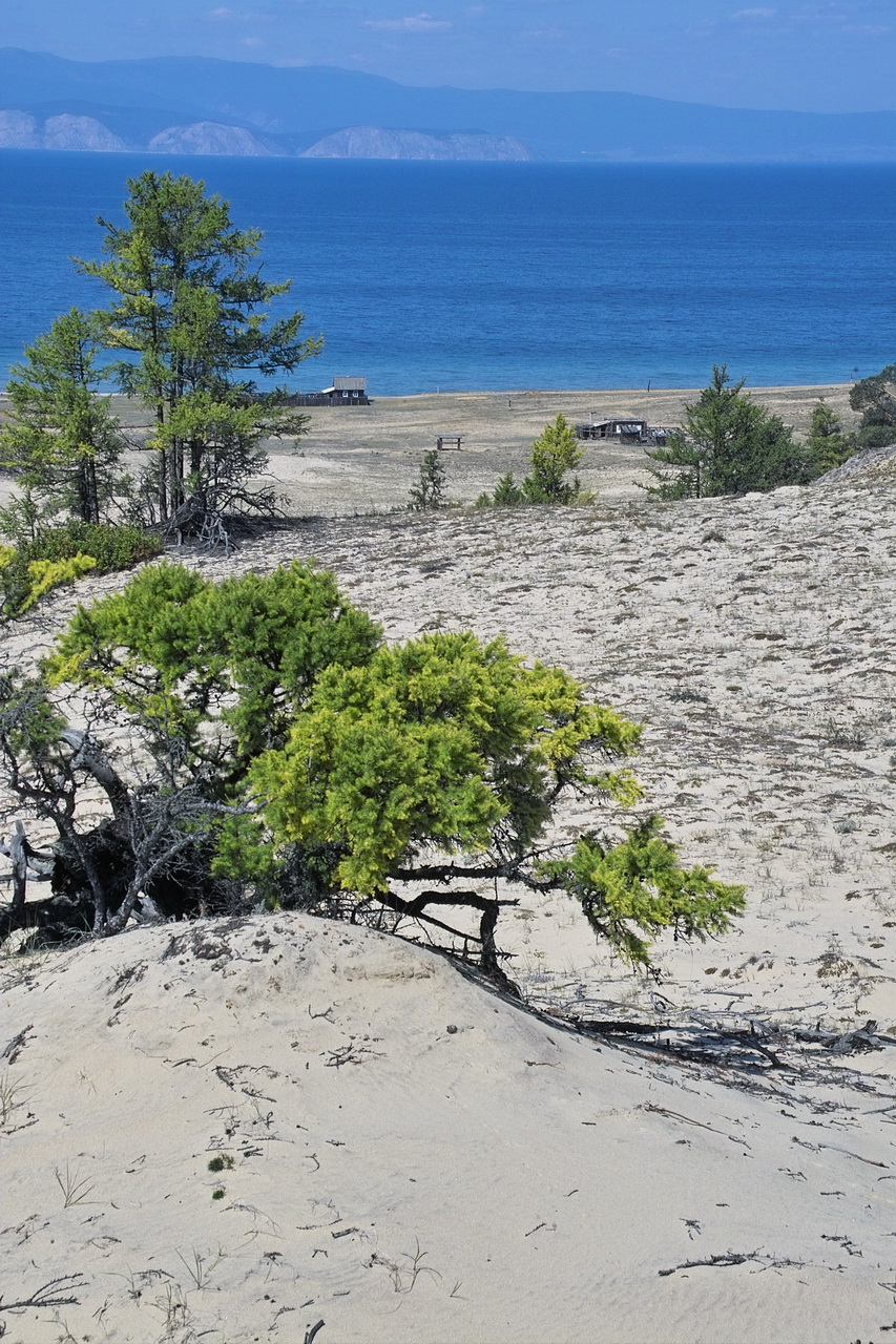 Песчаное, изображение ландшафта.