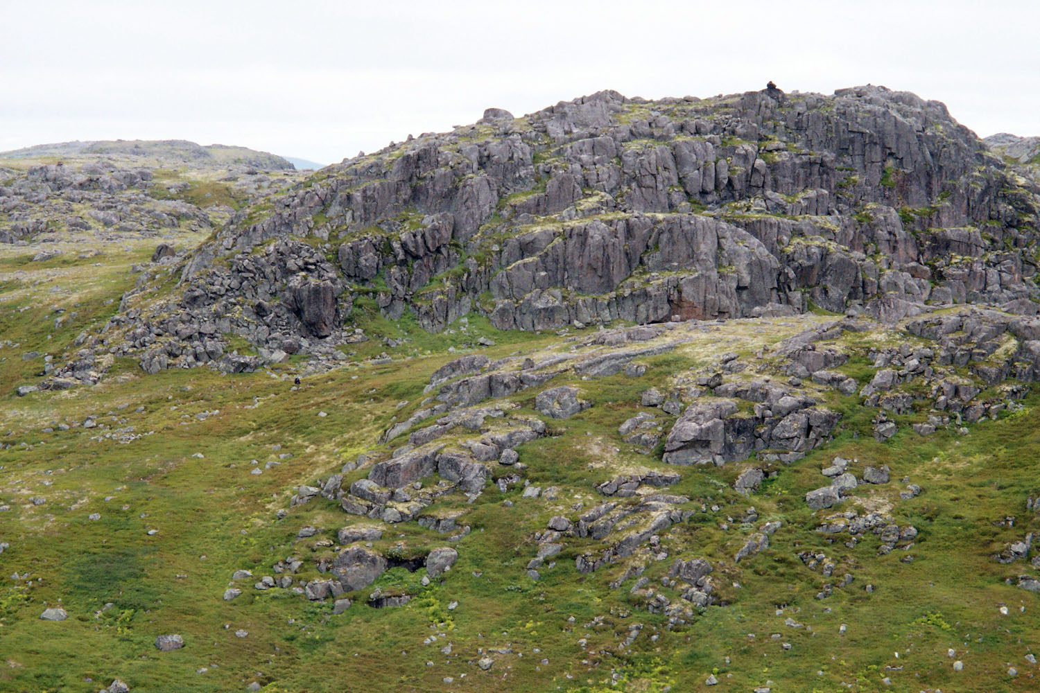 Дальние Зеленцы, image of landscape/habitat.