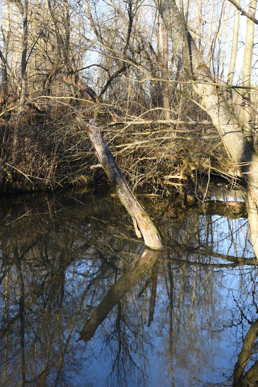 Вокруг хутора учителей Дёшиных, image of landscape/habitat.