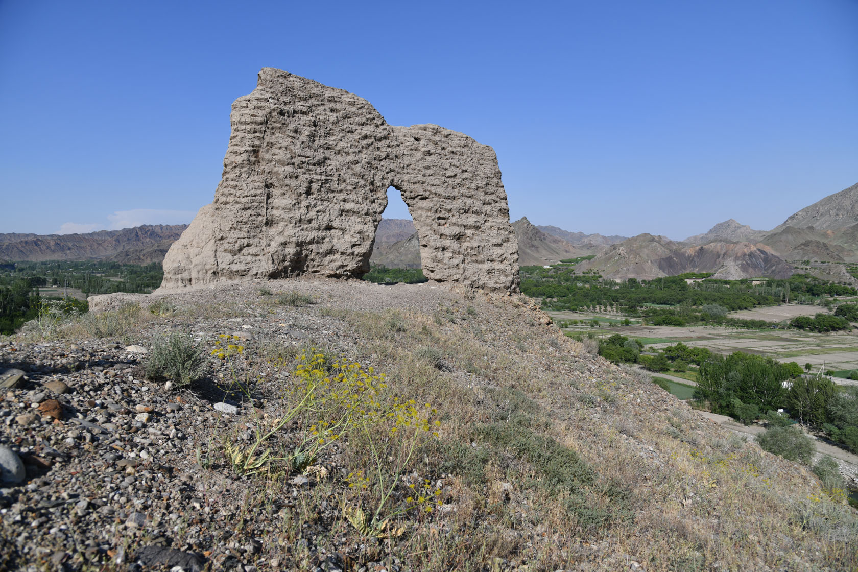 Исфара, image of landscape/habitat.