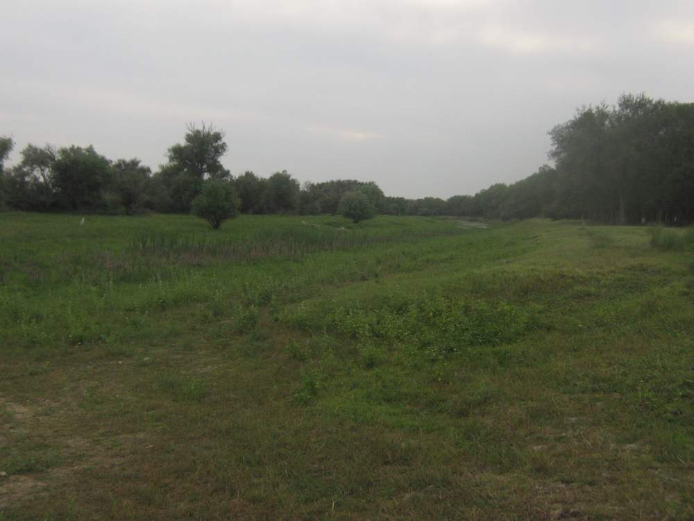 Дельта Волги, Северный Каспий, image of landscape/habitat.