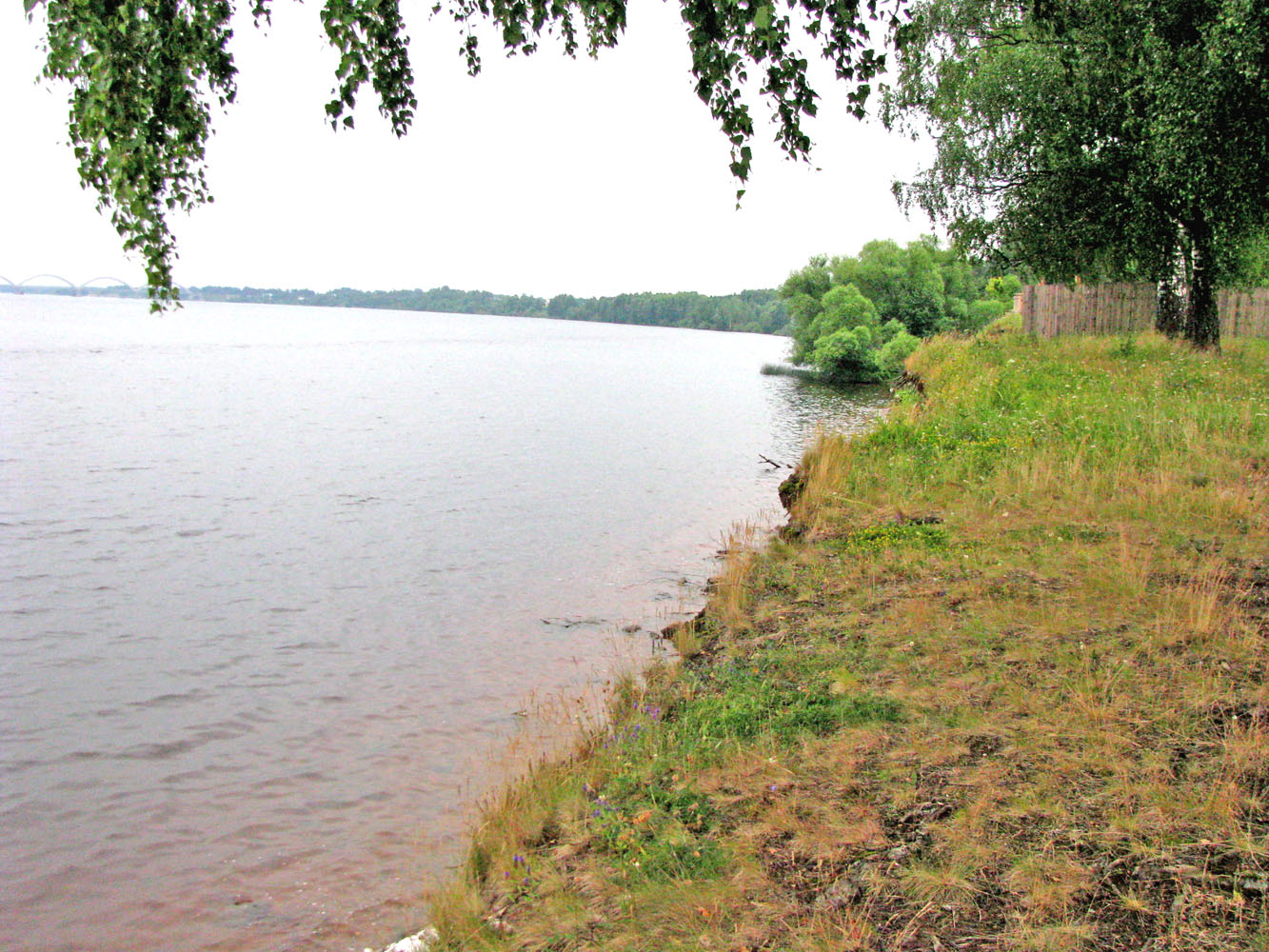 Рыбинское водохранилище, image of landscape/habitat.