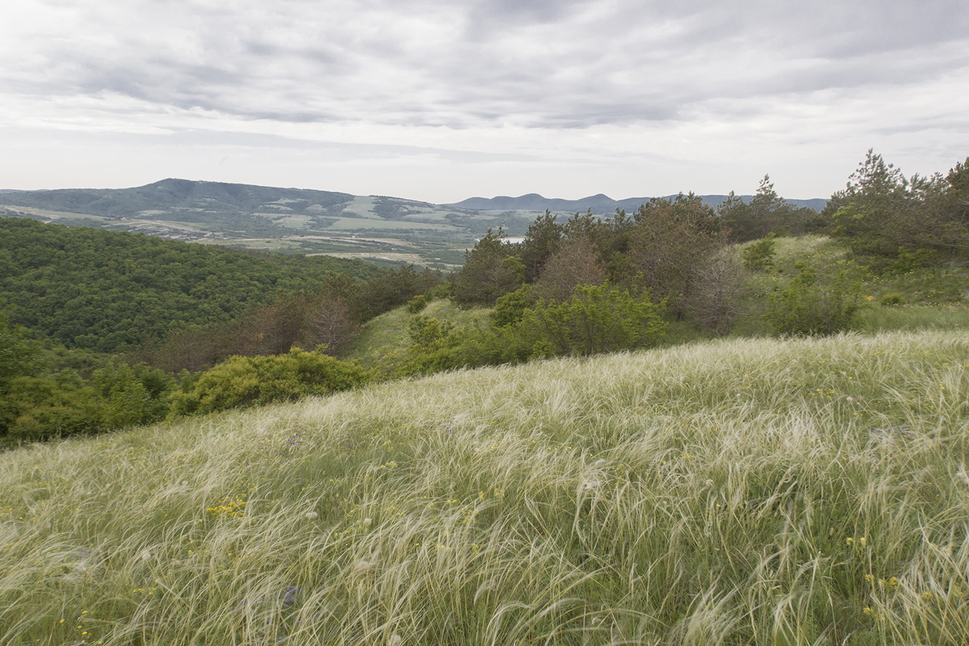 Гора Раевская, image of landscape/habitat.