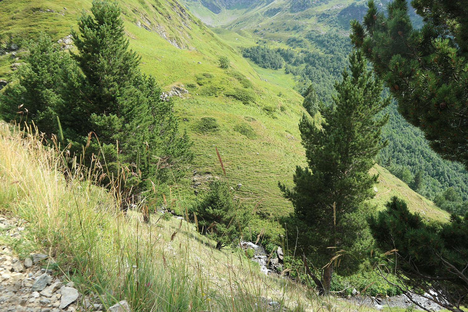 Долина реки Загедан, image of landscape/habitat.