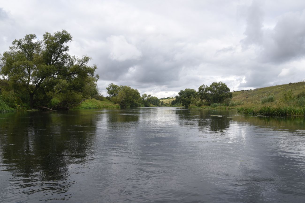 Степное урочище Горки, image of landscape/habitat.