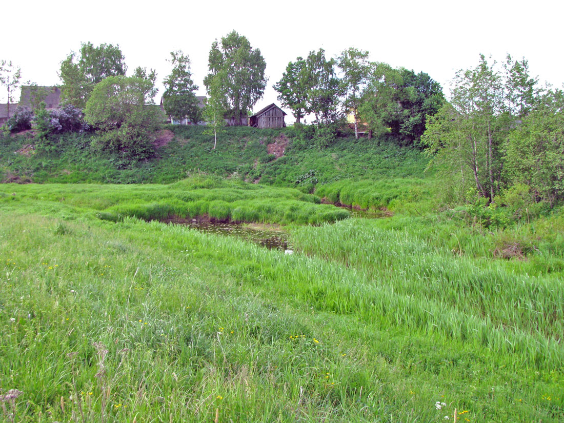 Ломиха, image of landscape/habitat.