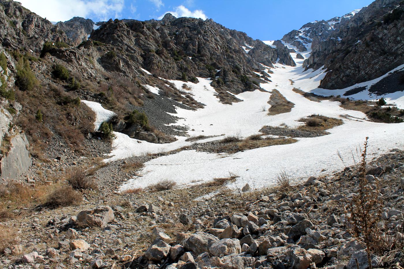 Окрестности с. Жабаглы, image of landscape/habitat.