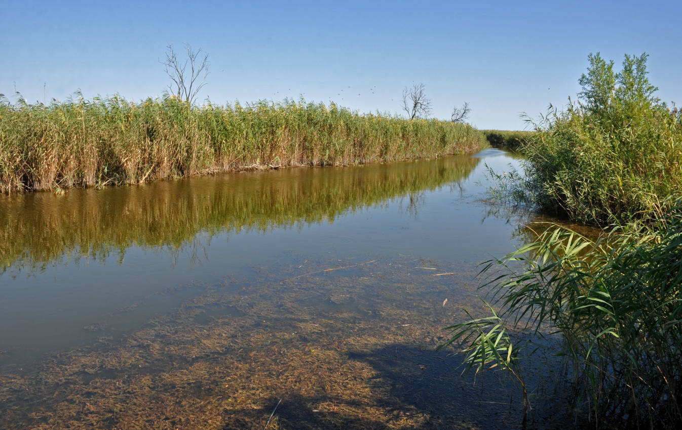 Окрестности села Воскресеновка, image of landscape/habitat.