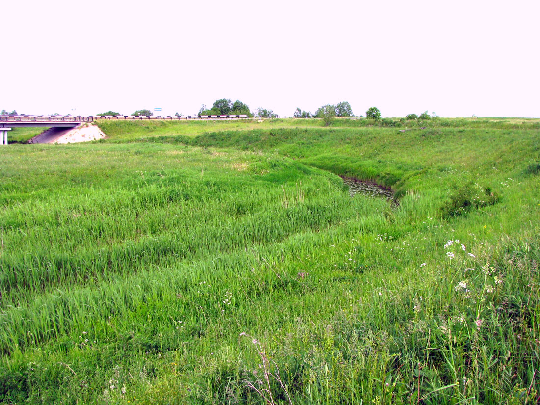 Ломиха, image of landscape/habitat.