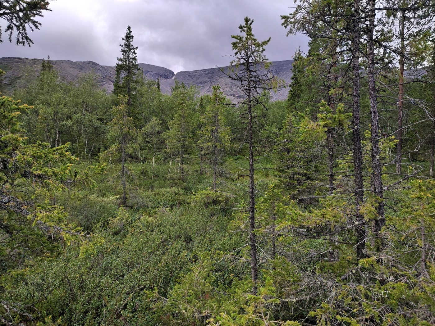 Долина реки Кунийок, image of landscape/habitat.