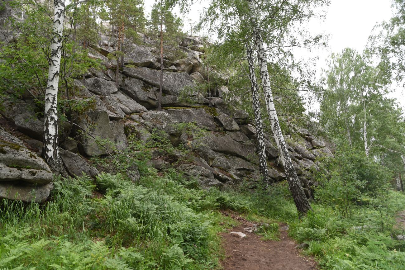 Гора Аракуль, image of landscape/habitat.