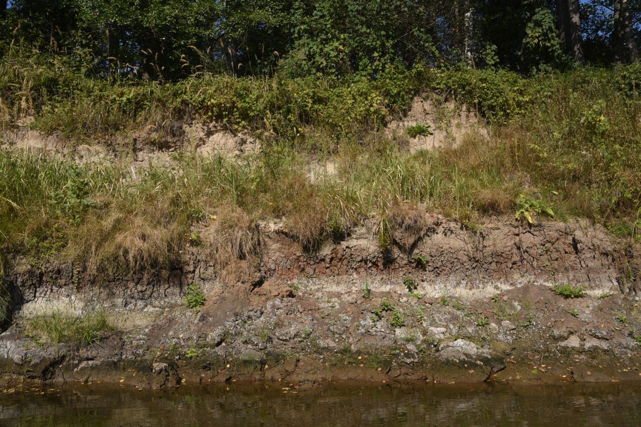 Устье безымянного ручья, image of landscape/habitat.