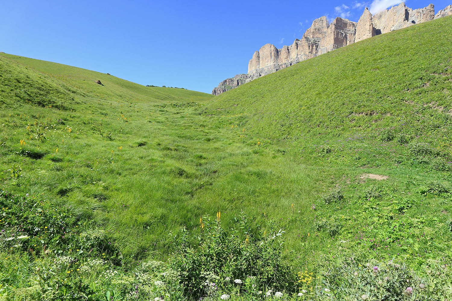 Псыгансу в верхнем течении, image of landscape/habitat.