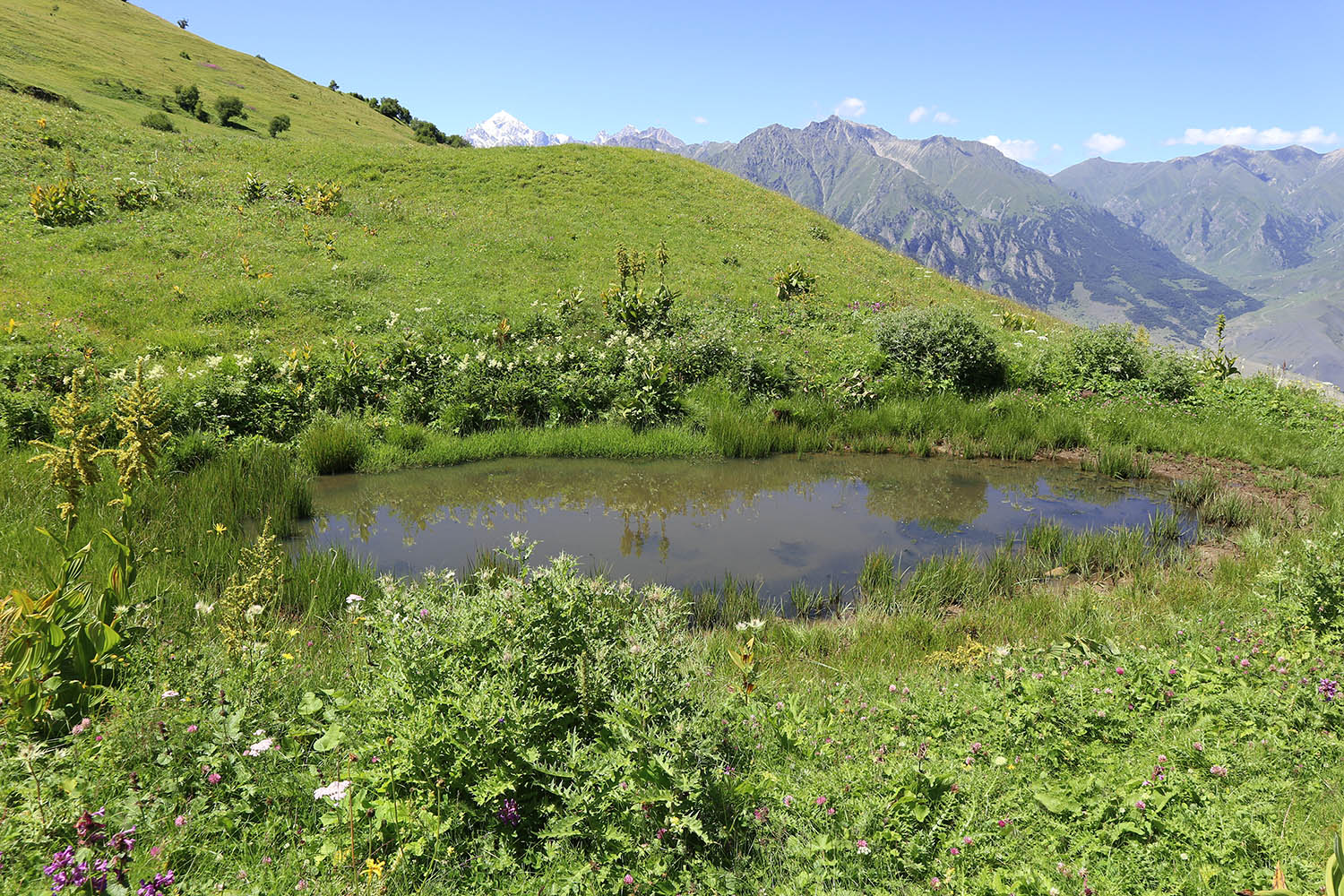 Озеро на склоне Айдарука-Цырт, image of landscape/habitat.