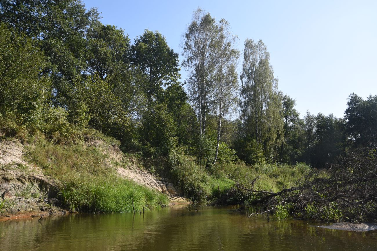 Устье безымянного ручья, image of landscape/habitat.