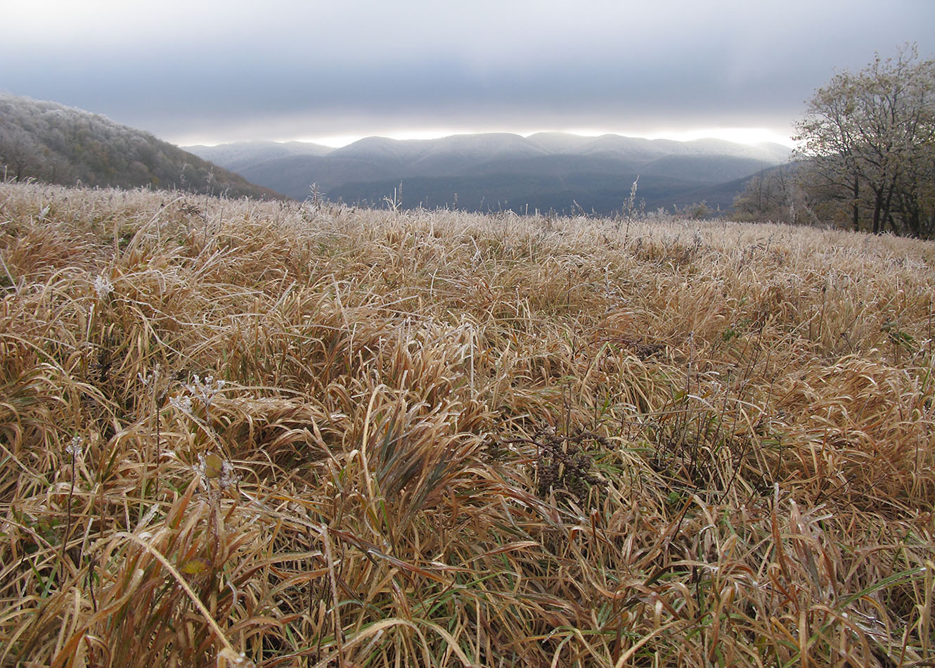 Гора Рябкова, image of landscape/habitat.