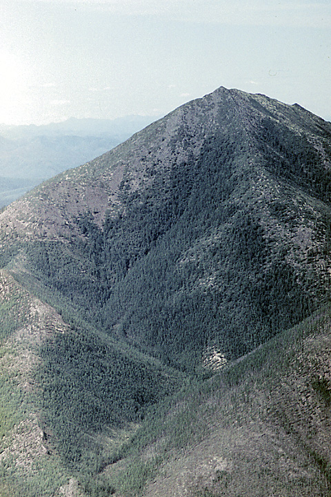 Устье Ольчана, image of landscape/habitat.