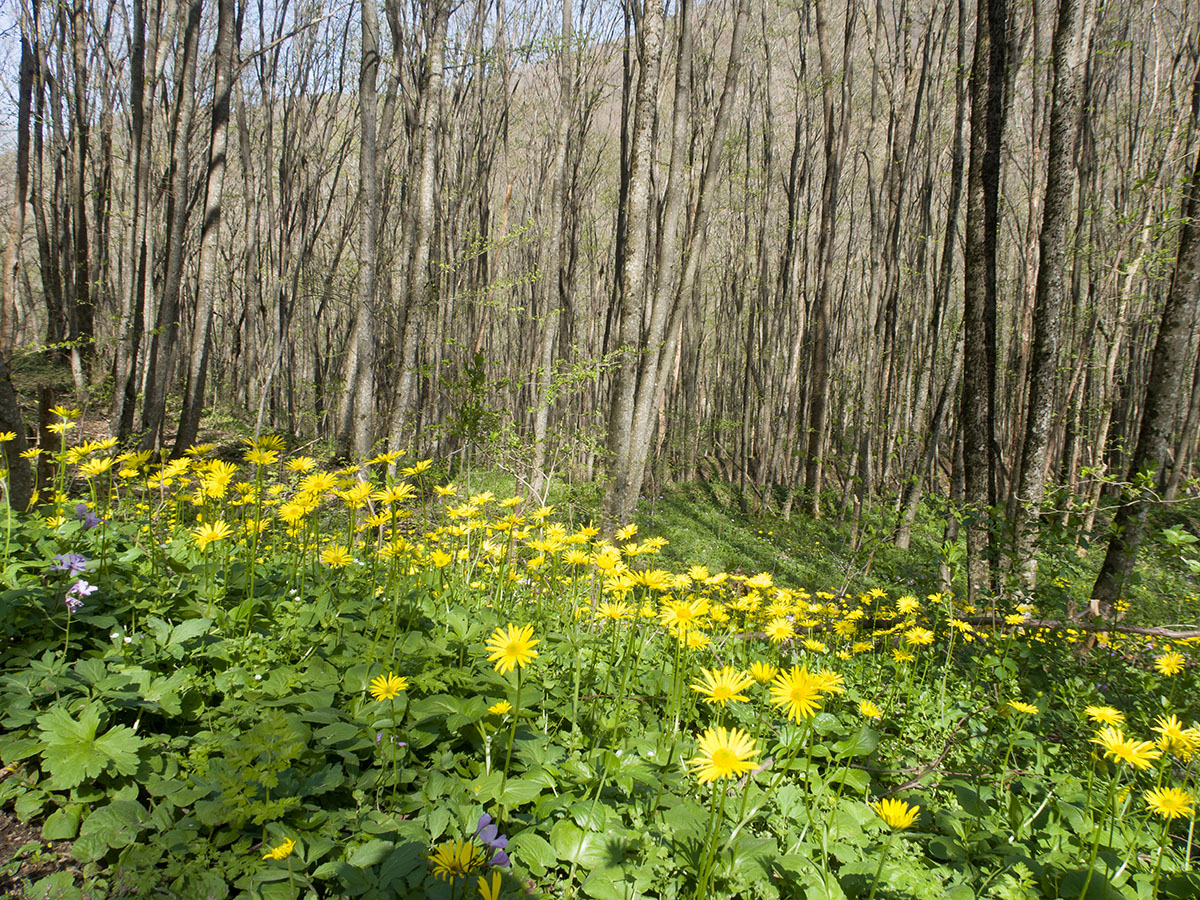 Крымская-Долгая, image of landscape/habitat.