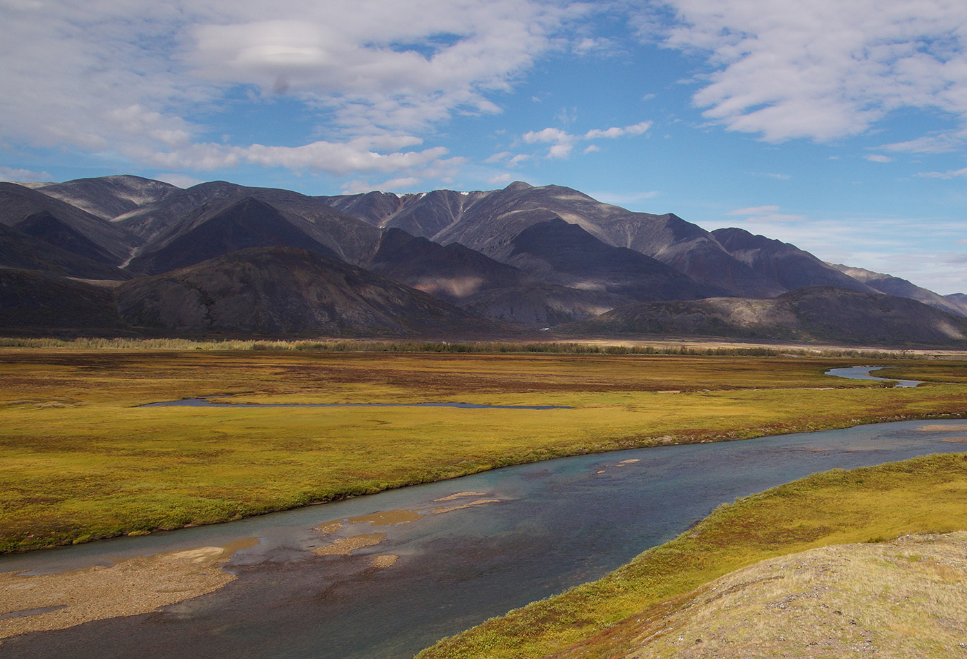 Телекайская роща, image of landscape/habitat.