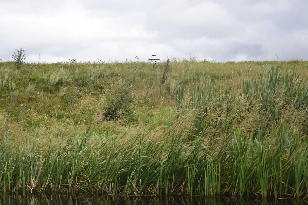 Степное урочище Горки, image of landscape/habitat.