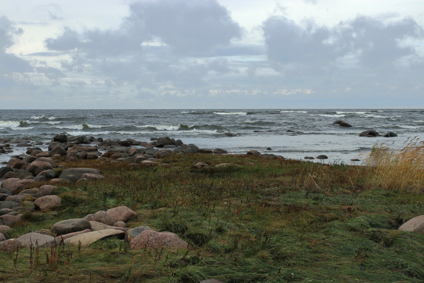 Каравалдай, image of landscape/habitat.