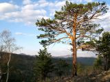 Аххол, image of landscape/habitat.