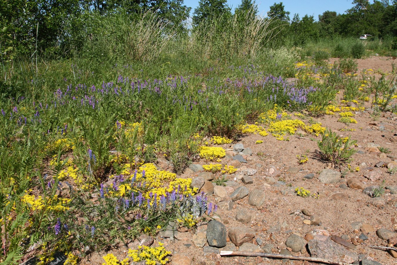 Каравалдай, image of landscape/habitat.