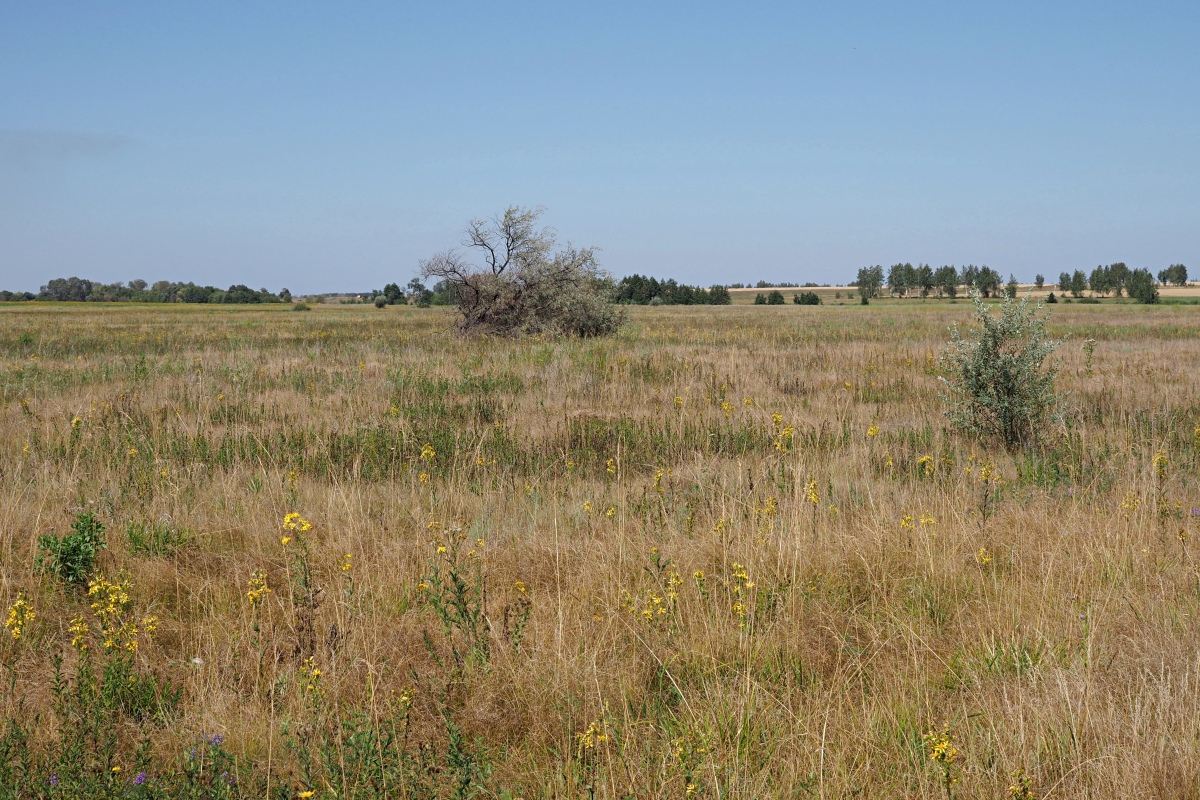 Долина реки Бирля и окрестности, image of landscape/habitat.