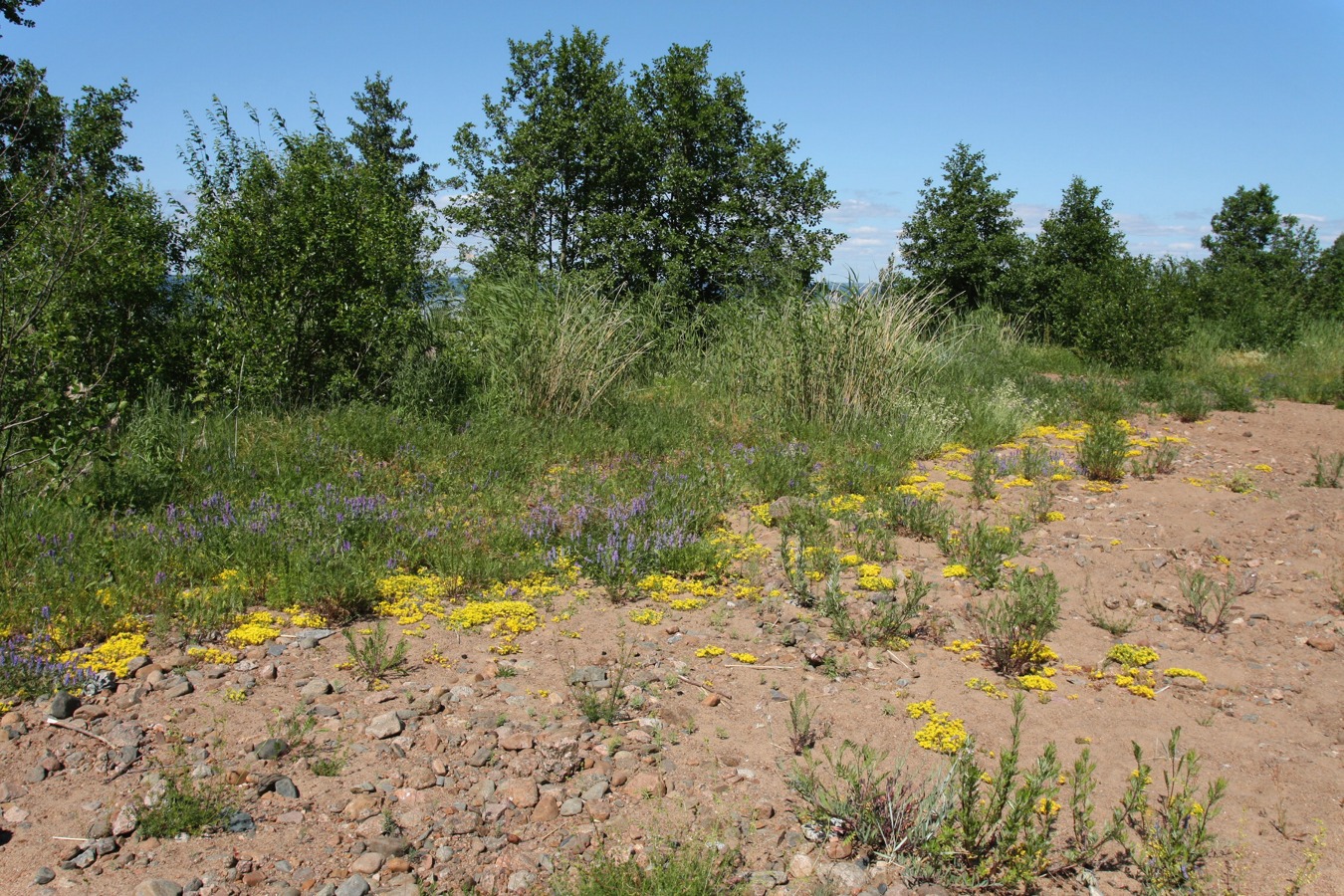 Каравалдай, image of landscape/habitat.