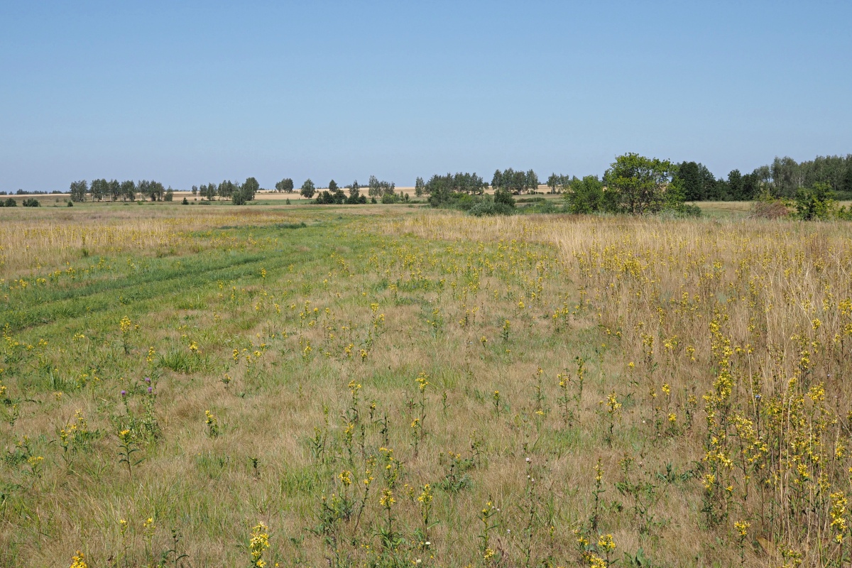 Долина реки Бирля и окрестности, image of landscape/habitat.