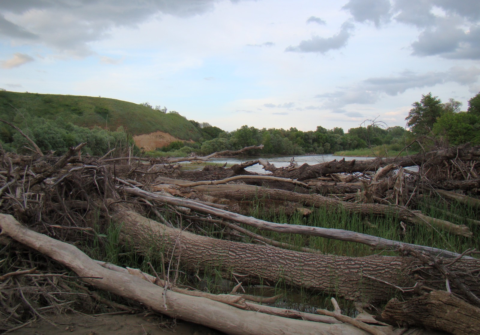 Лаба у станицы Тенгинской, image of landscape/habitat.