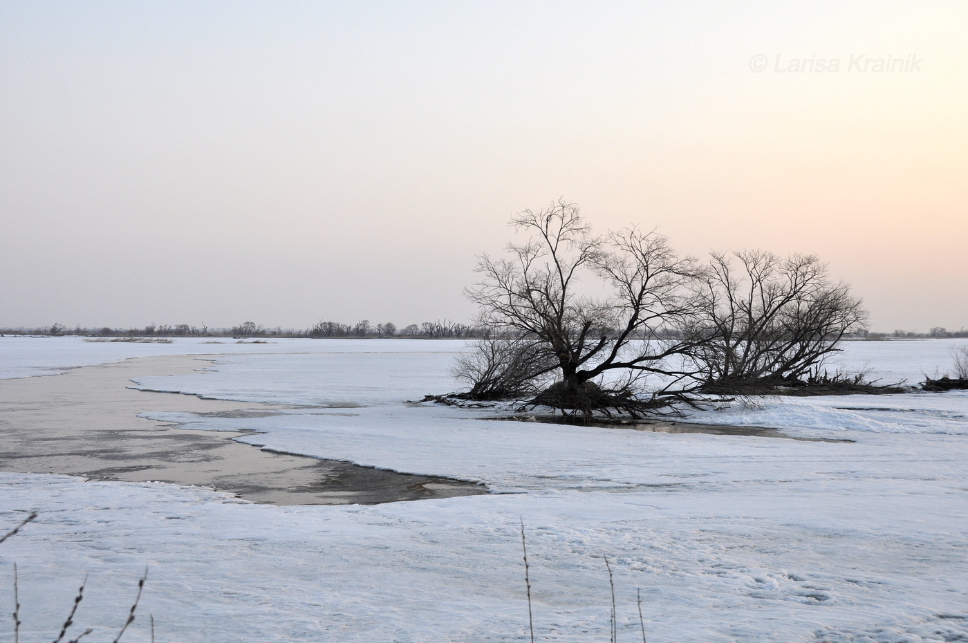 Окрестности Новосельского, image of landscape/habitat.