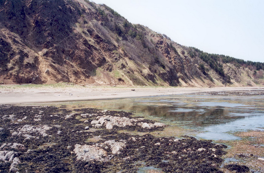 Южно-Сахалинск, image of landscape/habitat.