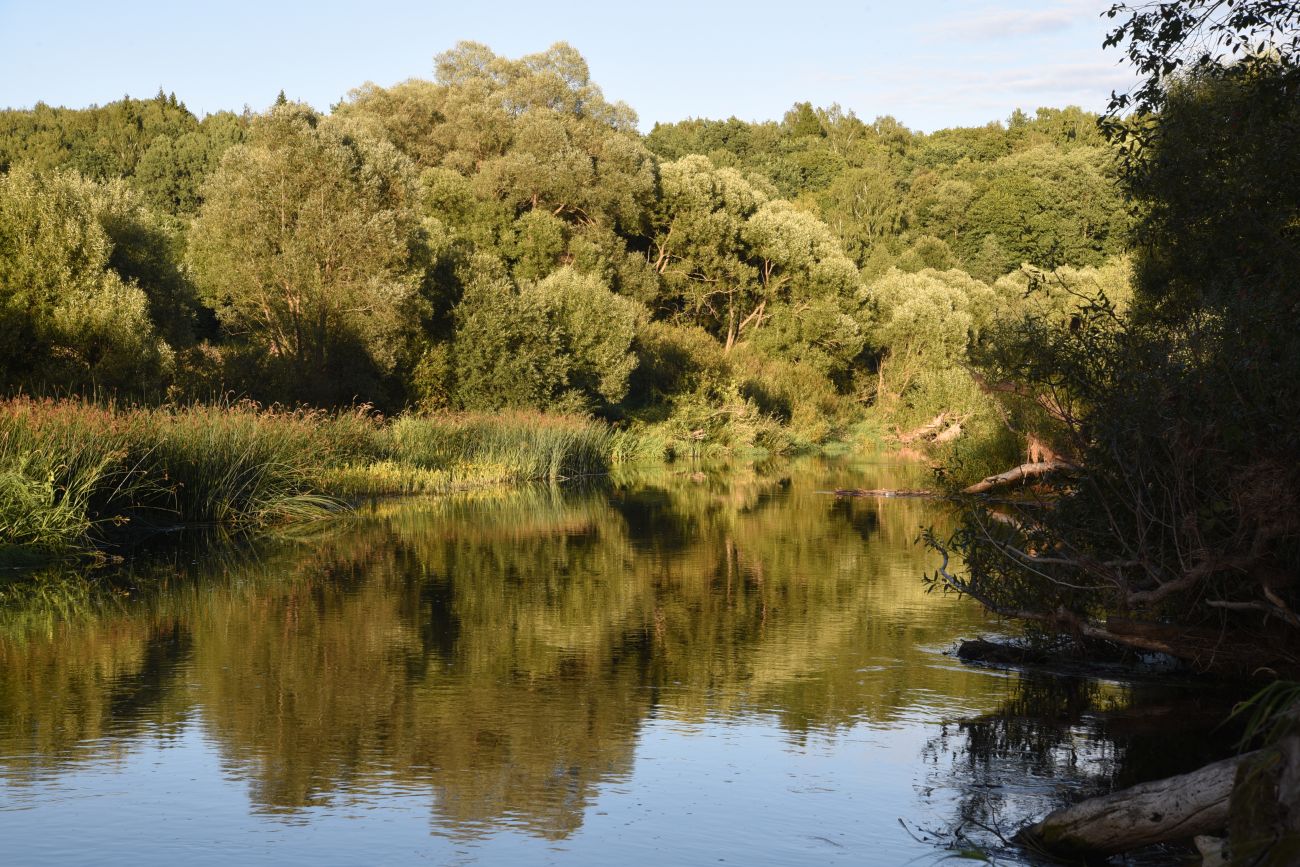 Окрестности деревни Сатино, image of landscape/habitat.