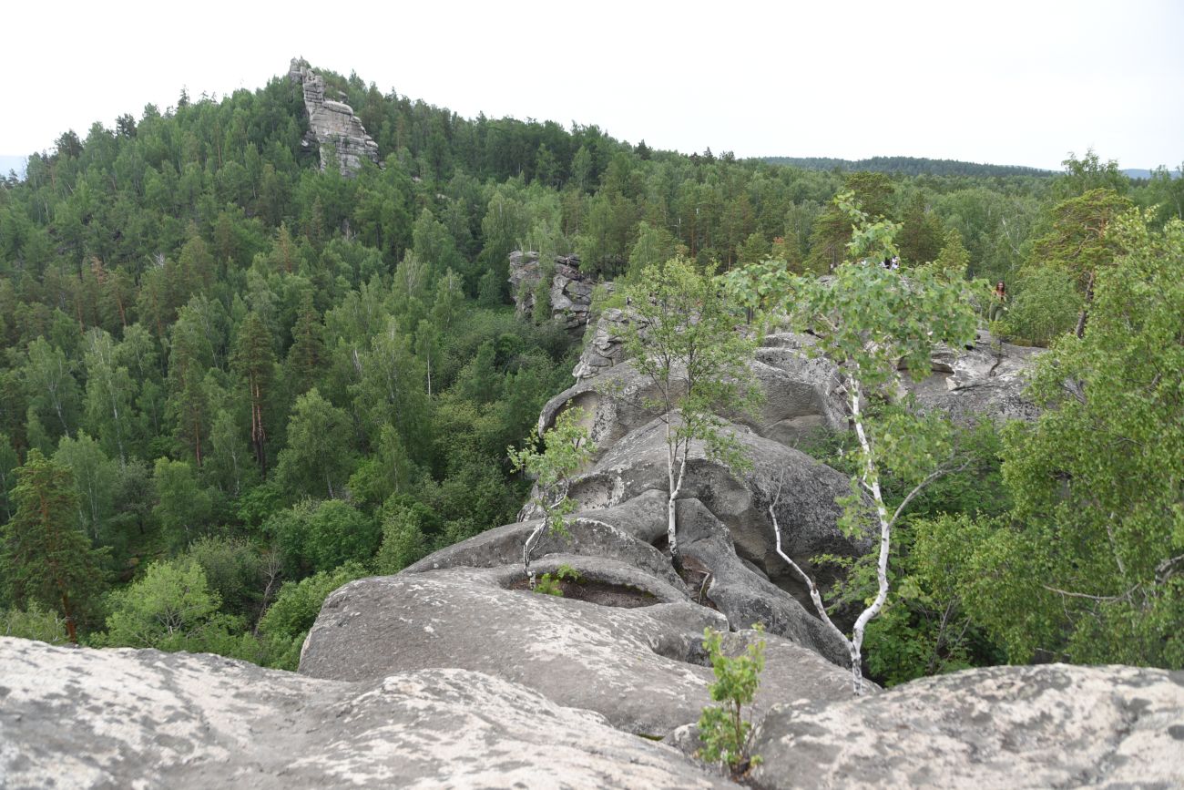 Гора Аракуль, image of landscape/habitat.