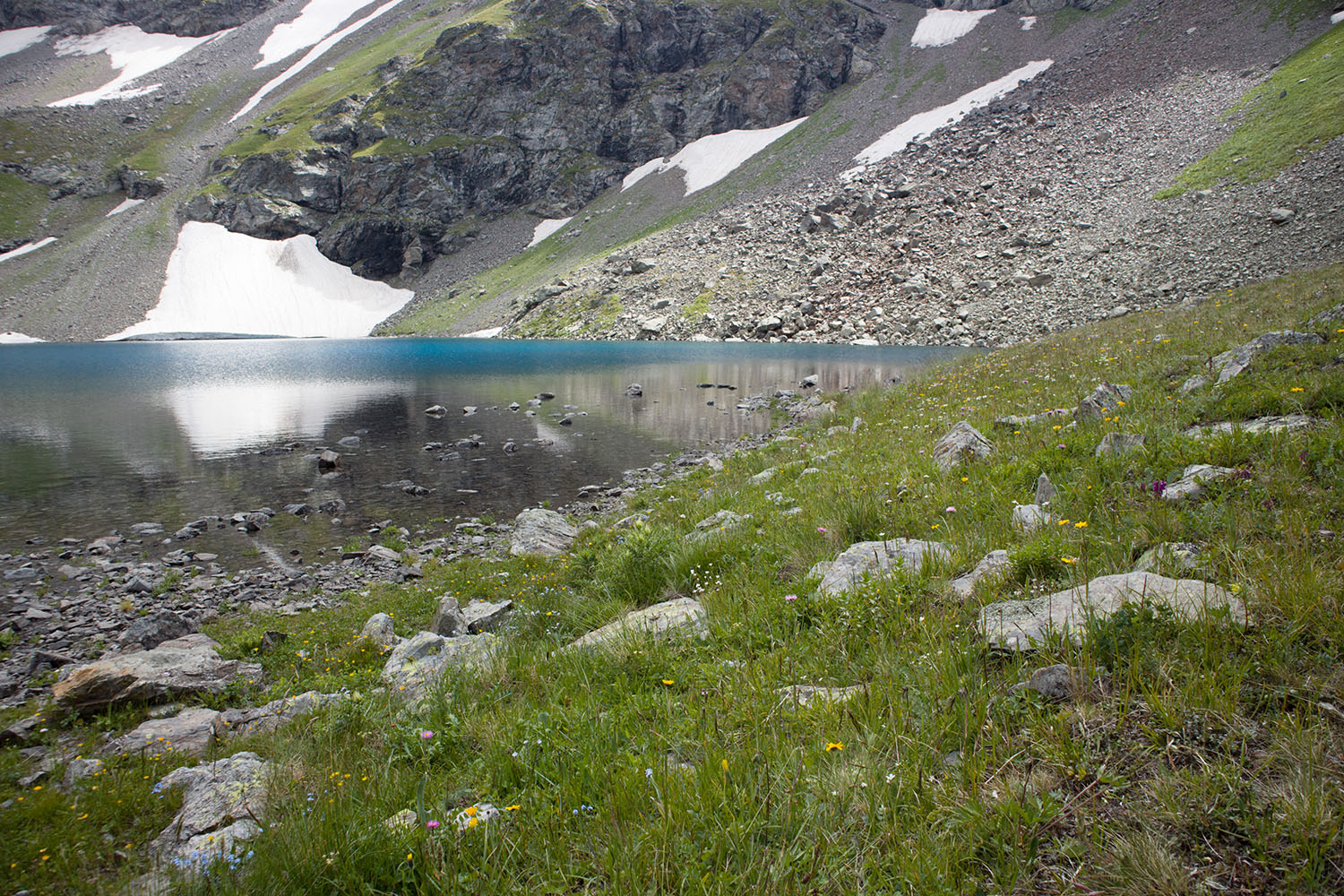 Озеро Тихое, image of landscape/habitat.