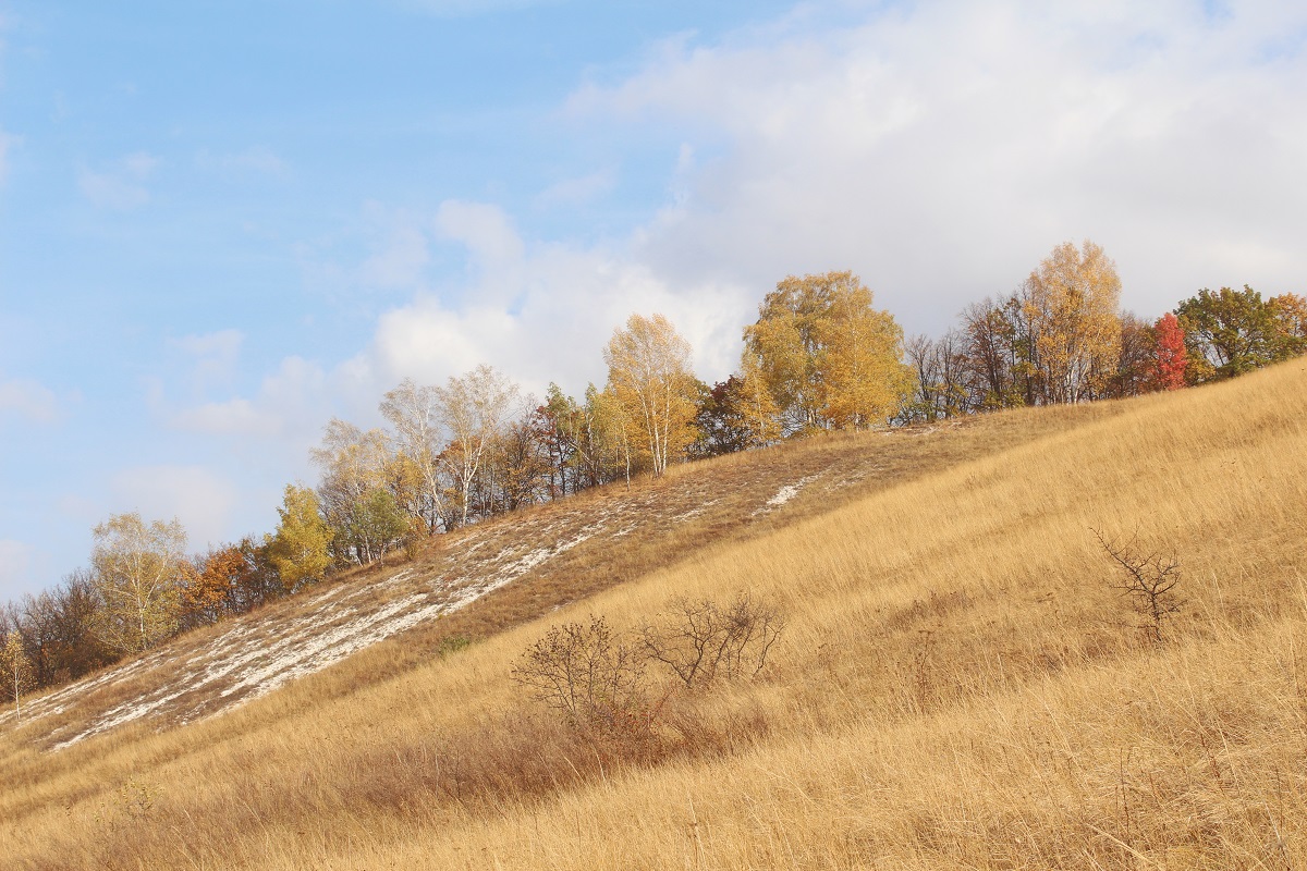 Стенки Изгорья, image of landscape/habitat.