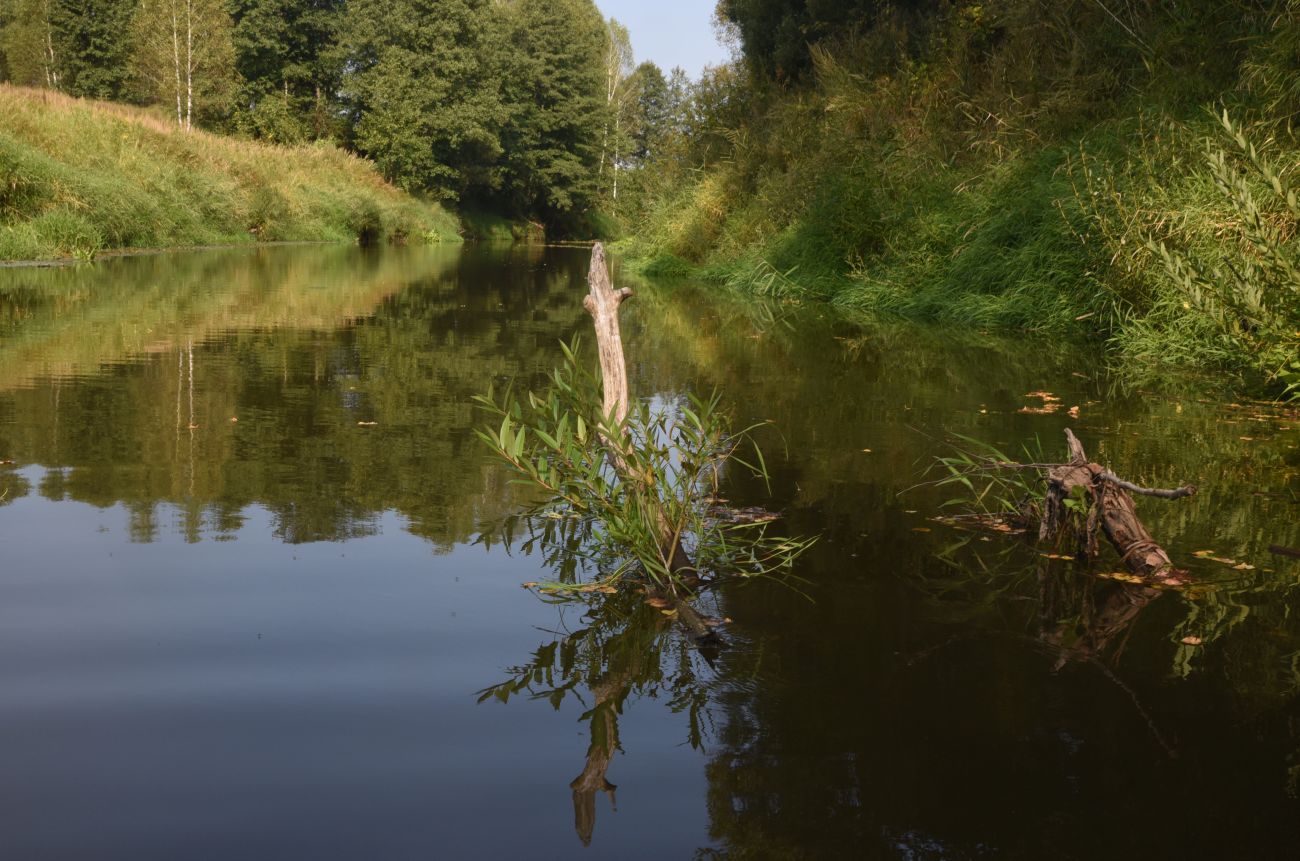 Мелихово, image of landscape/habitat.