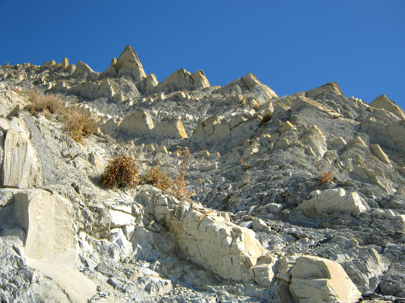 Черноморский берег, image of landscape/habitat.